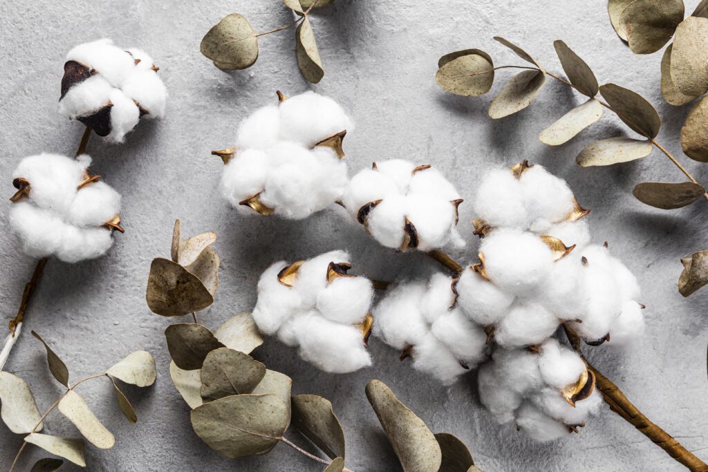 Baumwolle – Naturmaterial für stofftaschen